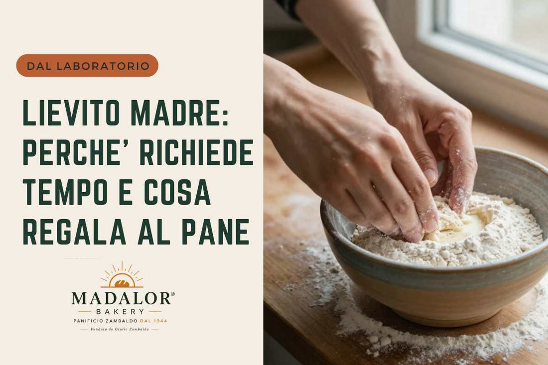 Lievito madre: perché richiede tempo e cosa regala al prodotto