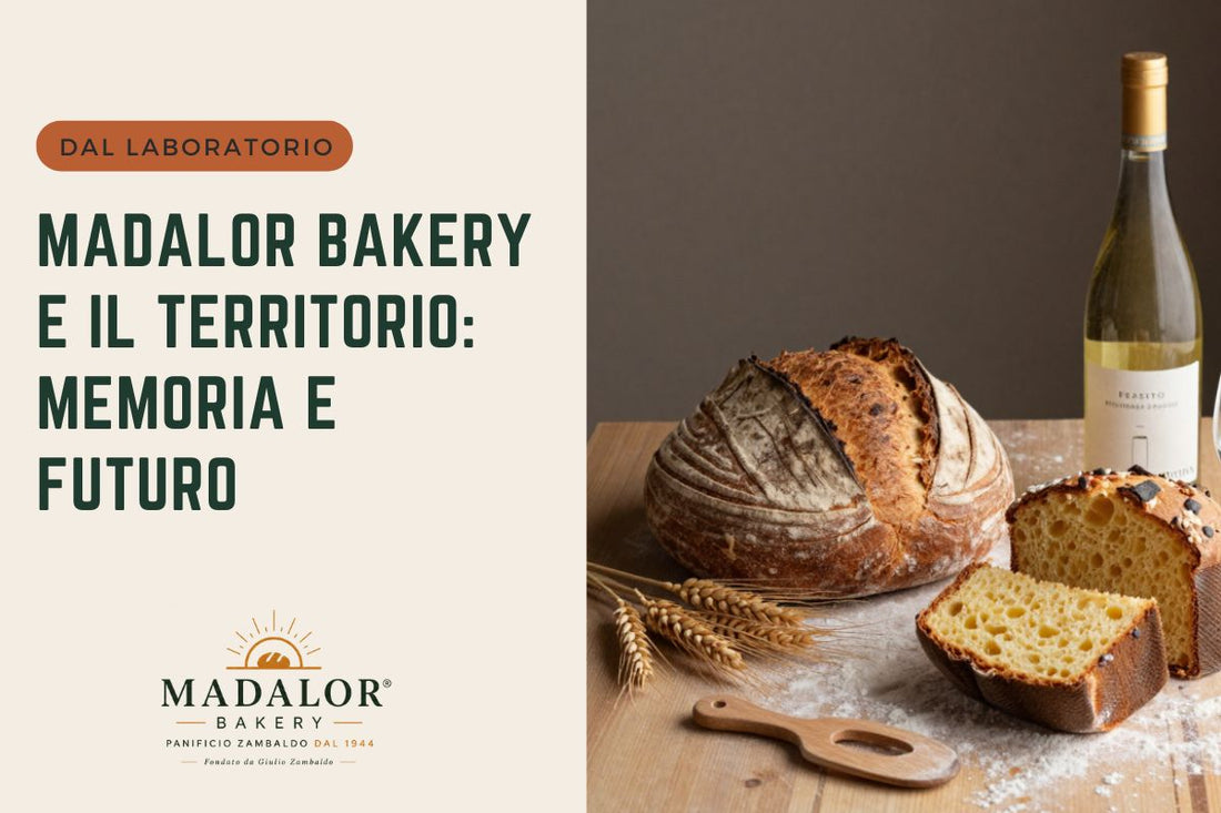 Madalor Bakery e il territorio: ingredienti, memoria e futuro