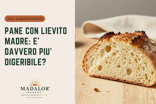 Il pane con lievito madre è più digeribile? Facciamo chiarezza