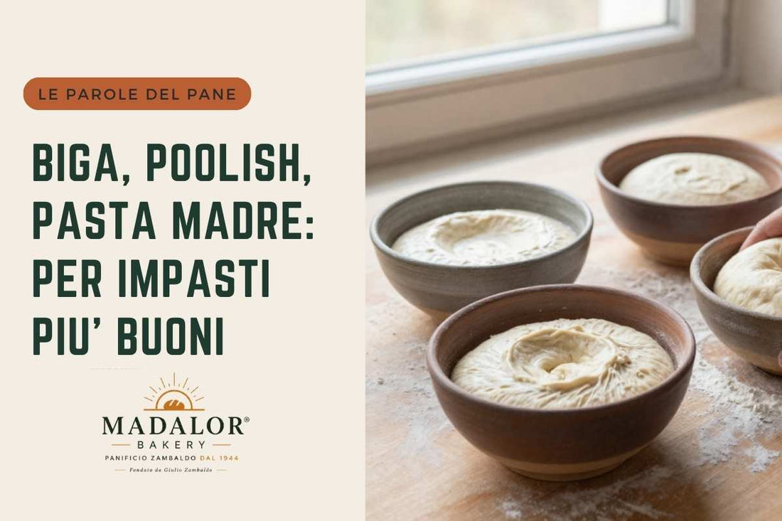 Biga, poolish, pasta madre: parole difficili per impasti più buoni