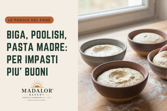 Biga, poolish, pasta madre: parole difficili per impasti più buoni