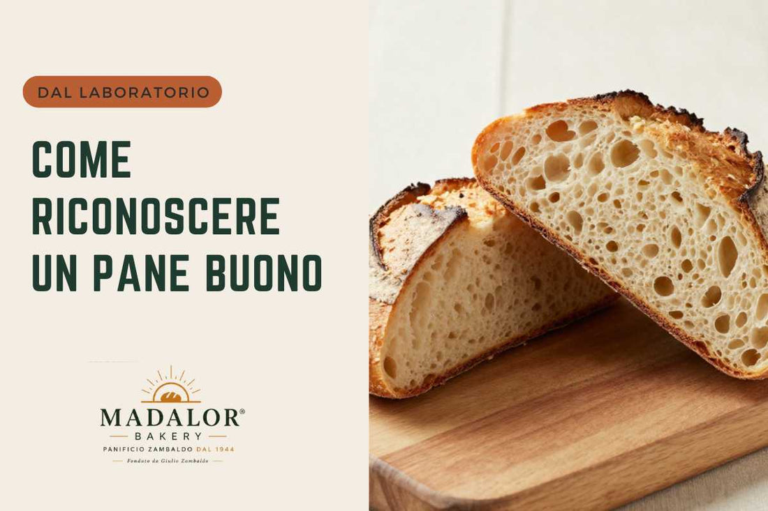 Come riconoscere un pane buono: crosta, mollica, profumo