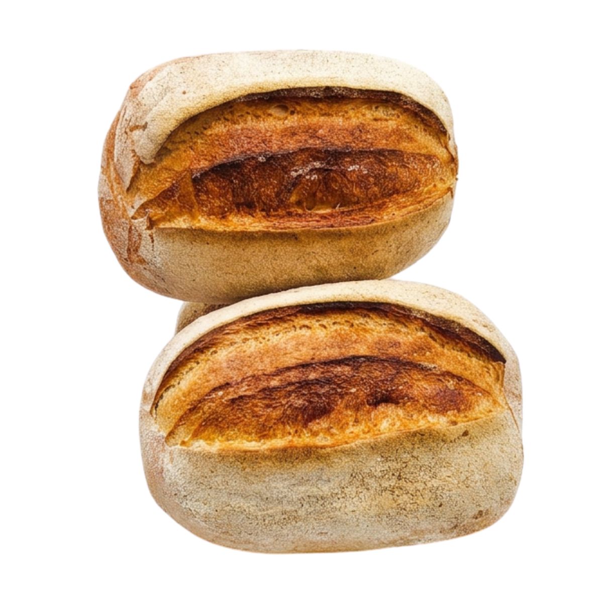 Rustico – Pane di Grano Duro a Pasta Madre